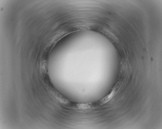 X0000060270141200511181429