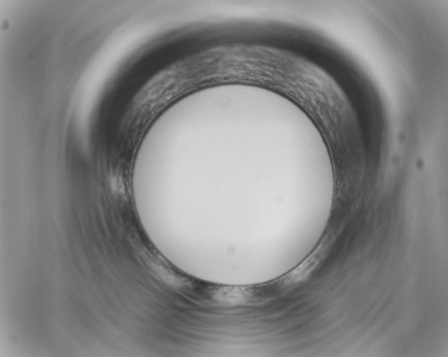 X0000060270142200511181429