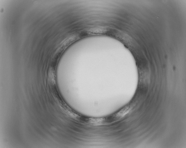 X0000060270143200511181429