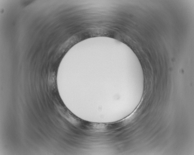 X0000060270144200511181429