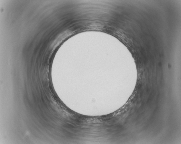 X0000060270146200511181428