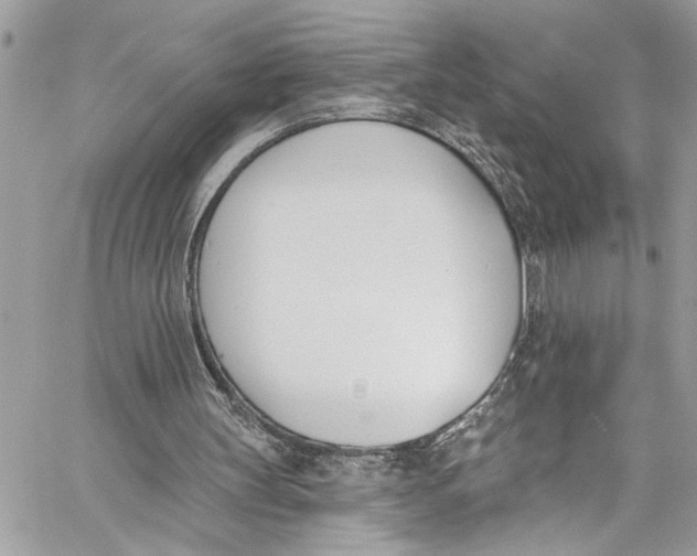 X0000060270147200511181428