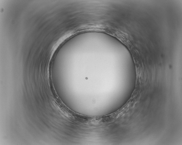 X0000060270148200511181428