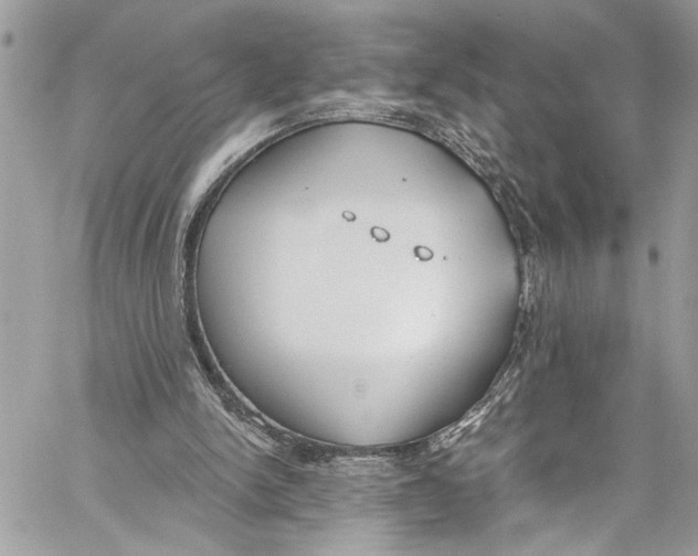 X0000060270150200511181428