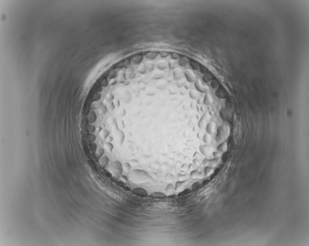 X0000060270151200511181428