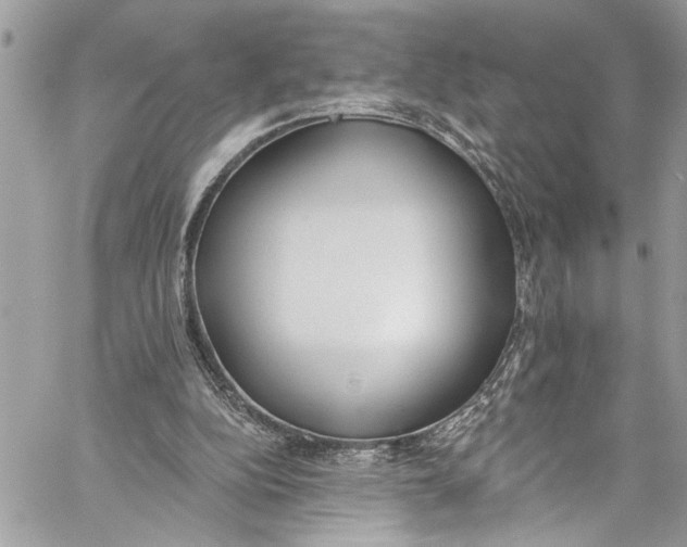 X0000060270152200511181428