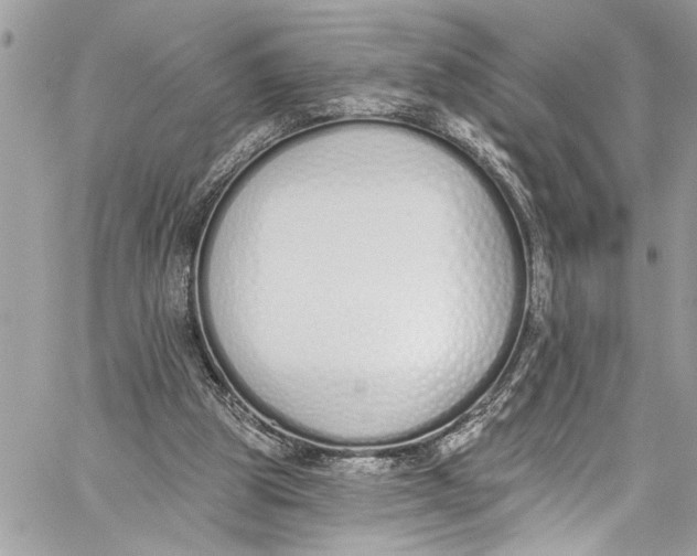 X0000060270153200511181428