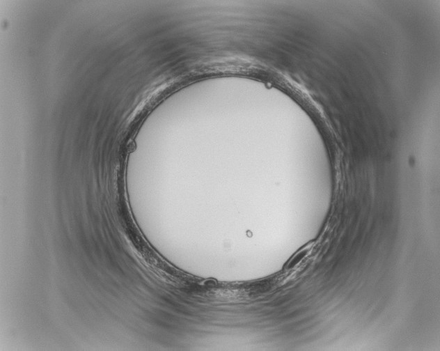 X0000060270154200511181428