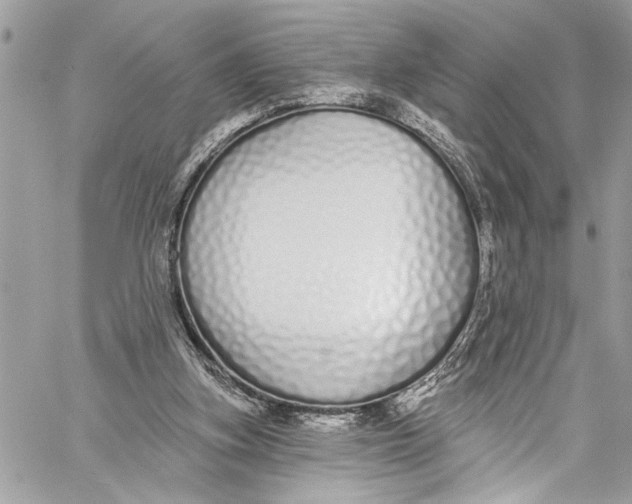 X0000060270155200511181428