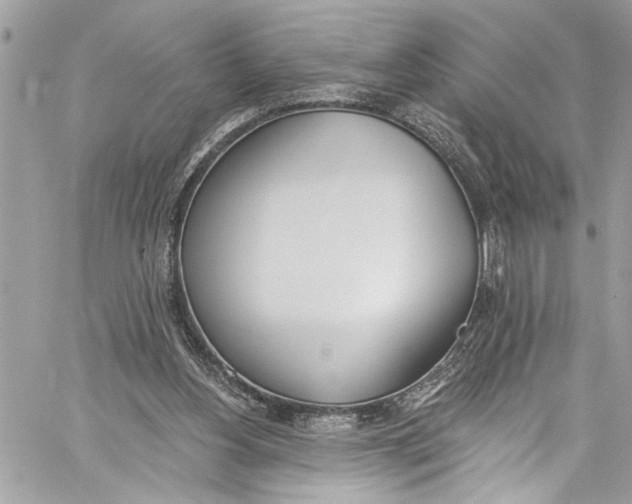 X0000060270156200511181428