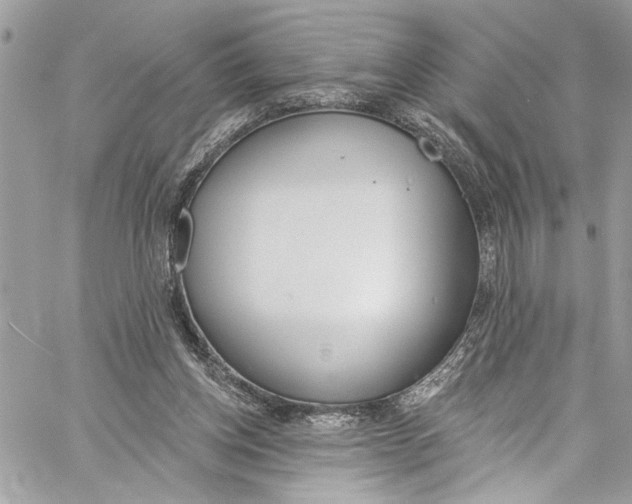 X0000060270158200511181428