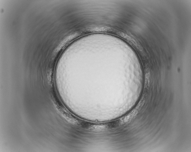 X0000060270159200511181428