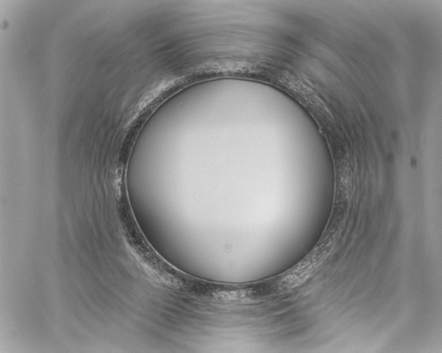 X0000060270160200511181428