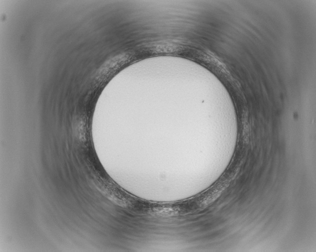 X0000060270161200511181428