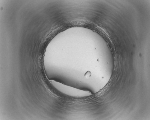 X0000060270162200511181428