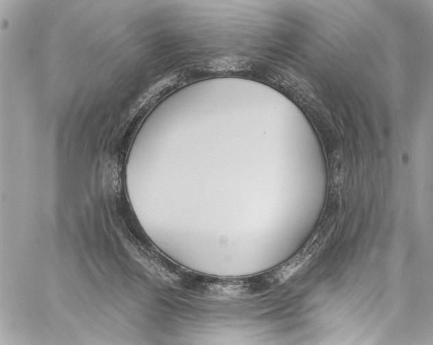 X0000060270164200511181428