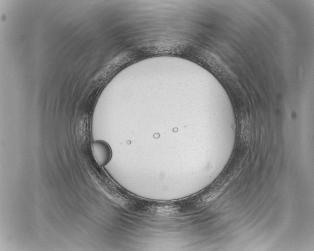 X0000060270165200511181428