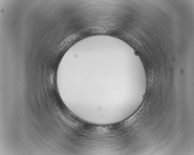 X0000060270166200511181428