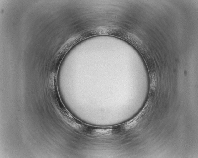 X0000060270167200511181428