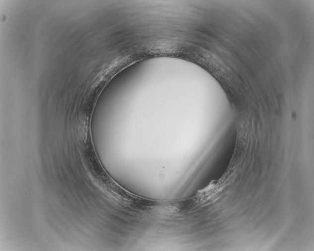 X0000060270168200511181428