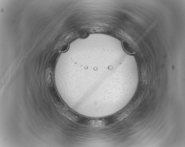 X0000060270169200511181428