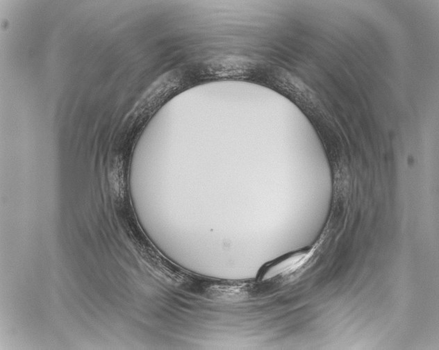 X0000060270170200511181428