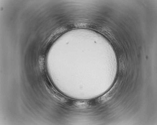 X0000060270171200511181428