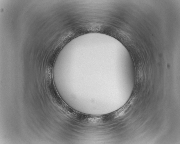 X0000060270172200511181428