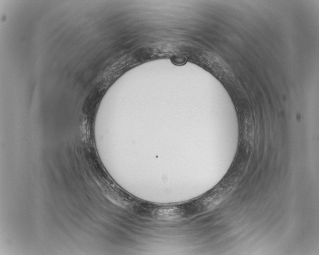 X0000060270173200511181428