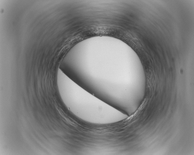 X0000060270175200511181428