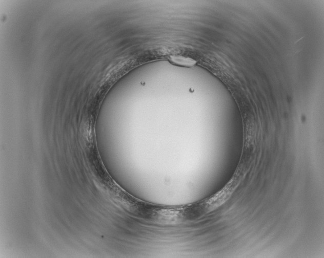 X0000060270176200511181428