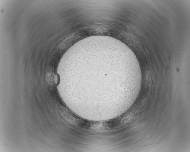 X0000060270177200511181428