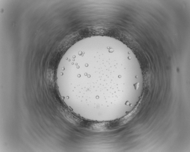 X0000060270178200511181428