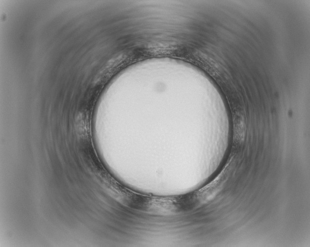 X0000060270179200511181428