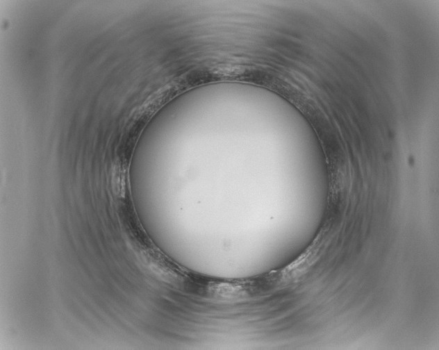 X0000060270180200511181429