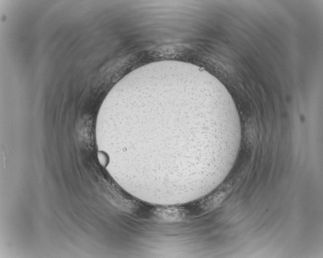 X0000060270181200511181429