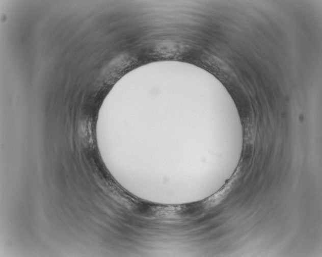 X0000060270182200511181429