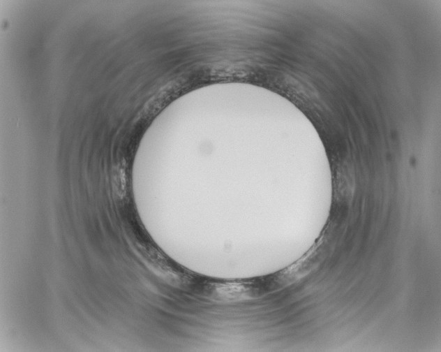 X0000060270183200511181429