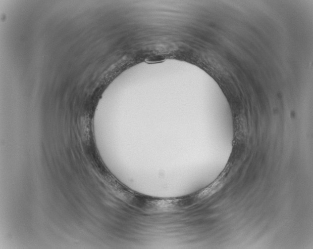 X0000060270184200511181429