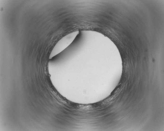 X0000060270185200511181429