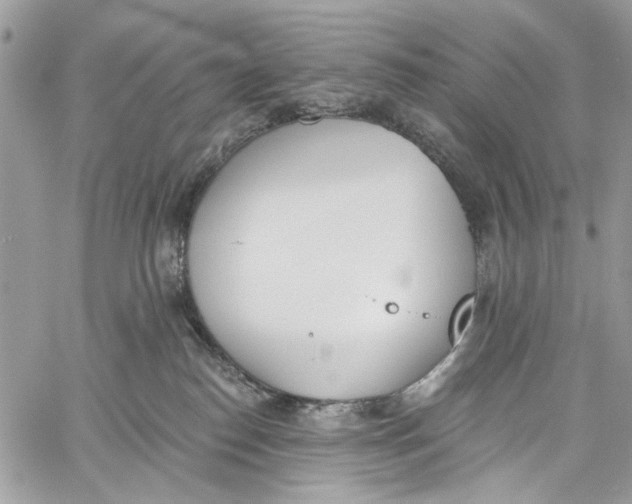 X0000060270186200511181429