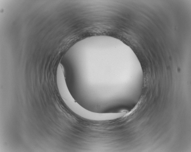 X0000060270187200511181429