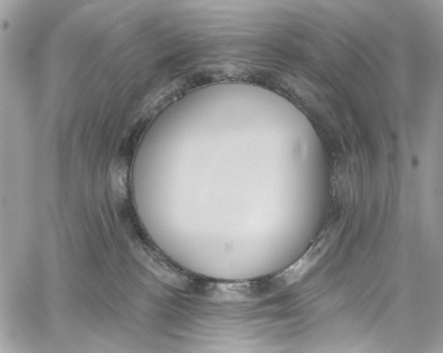 X0000060270188200511181429