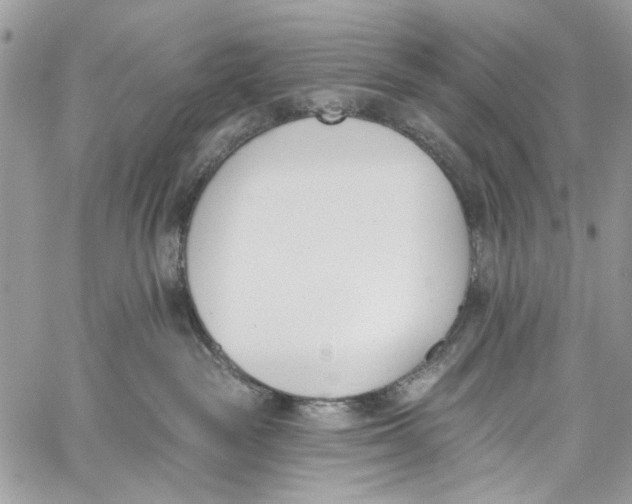 X0000060270189200511181429