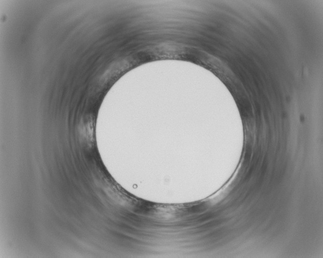 X0000060270190200511181429