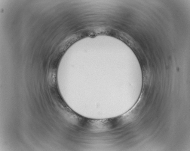 X0000060270191200511181429