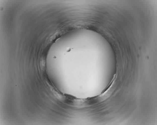 X0000060270192200511181429