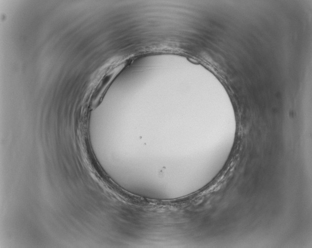 X0000060270193200511181428