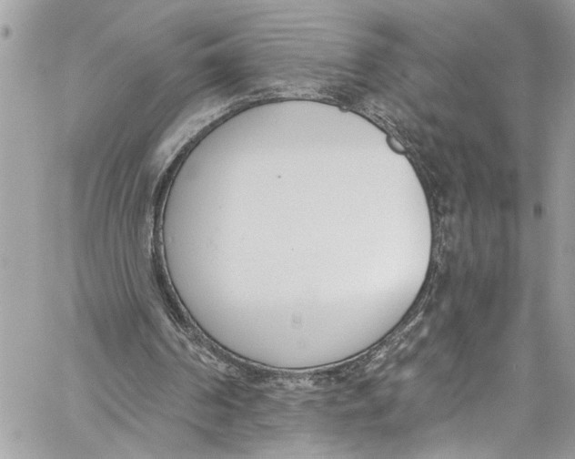 X0000060270194200511181428