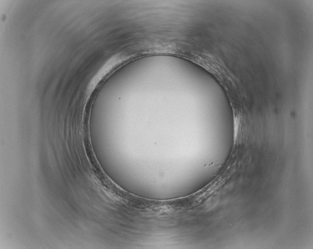 X0000060270195200511181428